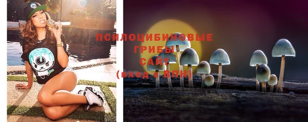 дживик Аркадак