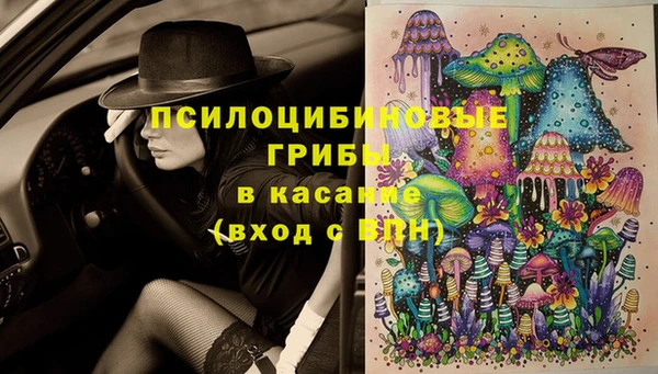 дживик Аркадак