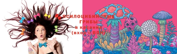 дживик Аркадак