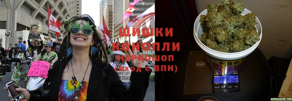 дживик Аркадак