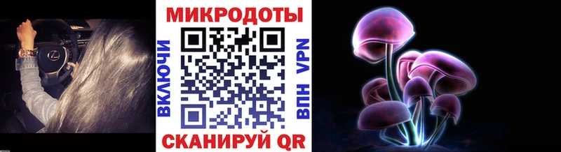 Псилоцибиновые грибы прущие грибы  Козьмодемьянск 